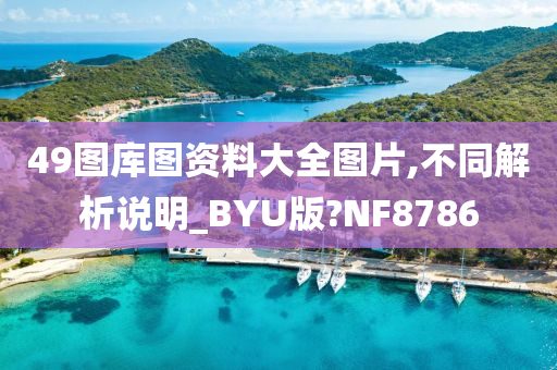 49图库图资料大全图片,不同解析说明_BYU版?NF8786