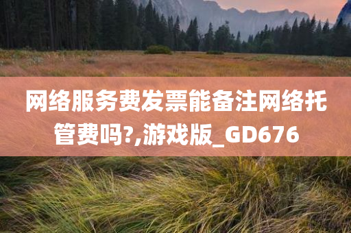 网络服务费发票能备注网络托管费吗?,游戏版_GD676