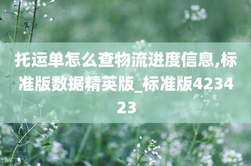 托运单怎么查物流进度信息,标准版数据精英版_标准版423423