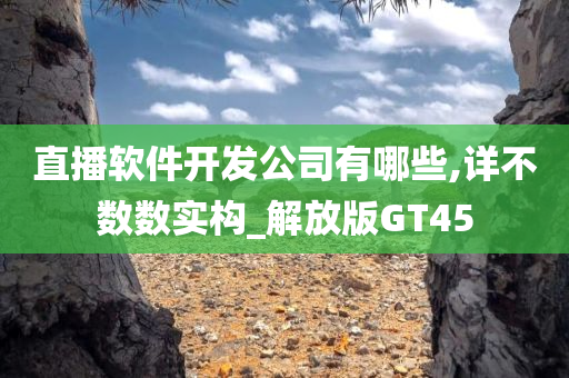 直播软件开发公司有哪些,详不数数实构_解放版GT45