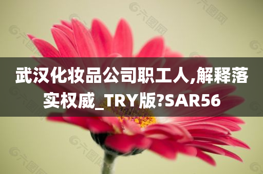 武汉化妆品公司职工人,解释落实权威_TRY版?SAR56