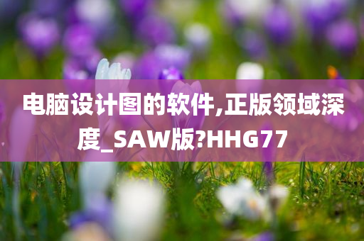 电脑设计图的软件,正版领域深度_SAW版?HHG77