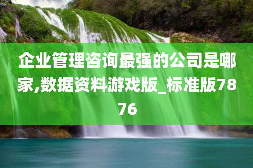 企业管理咨询最强的公司是哪家,数据资料游戏版_标准版7876