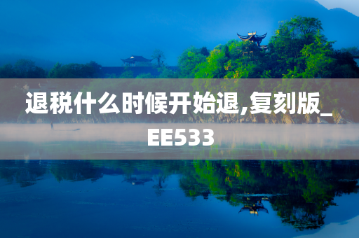 退税什么时候开始退,复刻版_EE533