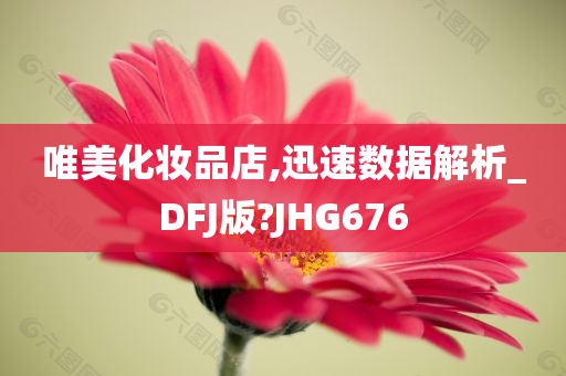 唯美化妆品店,迅速数据解析_DFJ版?JHG676