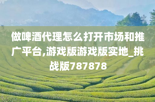 做啤酒代理怎么打开市场和推广平台,游戏版游戏版实地_挑战版787878