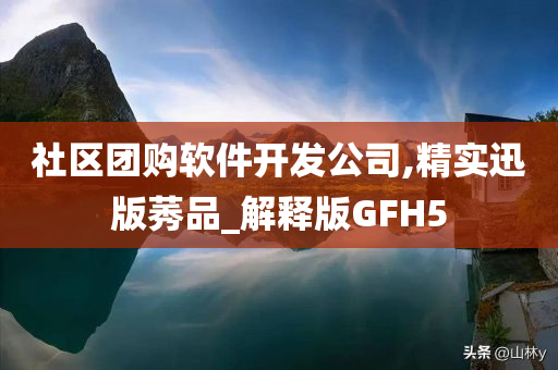 社区团购软件开发公司,精实迅版莠品_解释版GFH5