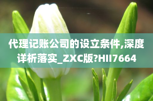 代理记账公司的设立条件,深度详析落实_ZXC版?HII7664