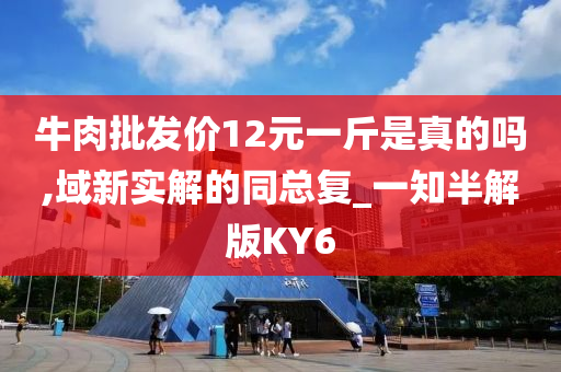 牛肉批发价12元一斤是真的吗,域新实解的同总复_一知半解版KY6