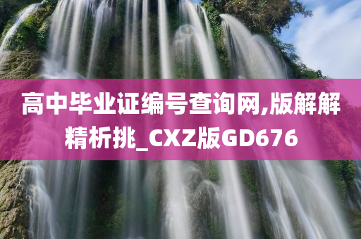 高中毕业证编号查询网,版解解精析挑_CXZ版GD676