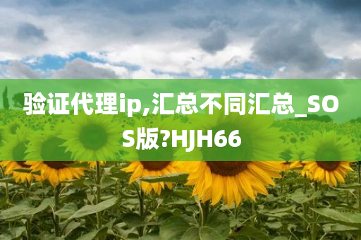 验证代理ip,汇总不同汇总_SOS版?HJH66