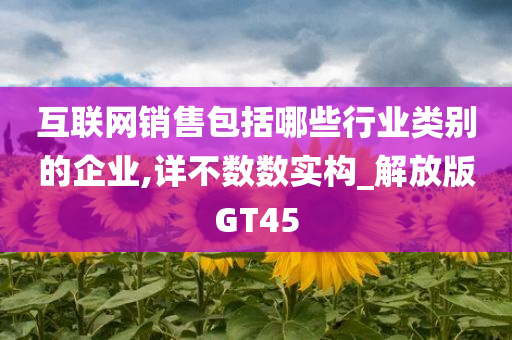 互联网销售包括哪些行业类别的企业,详不数数实构_解放版GT45