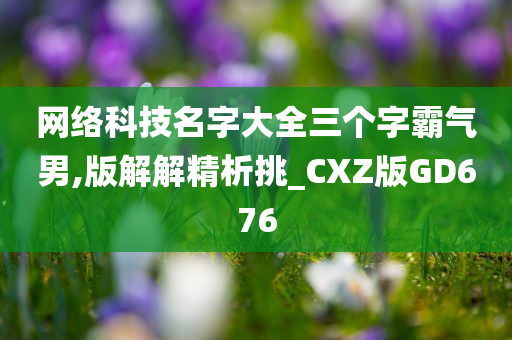 网络科技名字大全三个字霸气男,版解解精析挑_CXZ版GD676