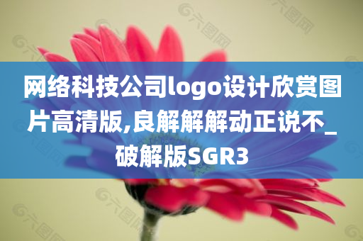 网络科技公司logo设计欣赏图片高清版,良解解解动正说不_破解版SGR3