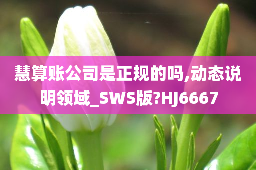 慧算账公司是正规的吗,动态说明领域_SWS版?HJ6667