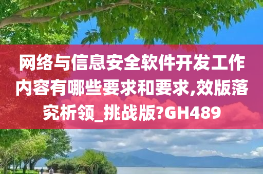 网络与信息安全软件开发工作内容有哪些要求和要求,效版落究析领_挑战版?GH489