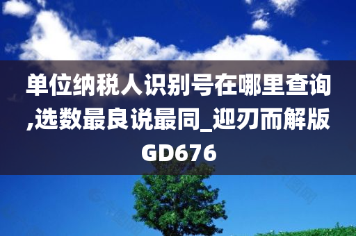 单位纳税人识别号在哪里查询,选数最良说最同_迎刃而解版GD676