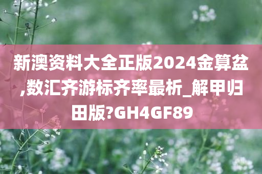 新澳资料大全正版2024金算盆,数汇齐游标齐率最析_解甲归田版?GH4GF89