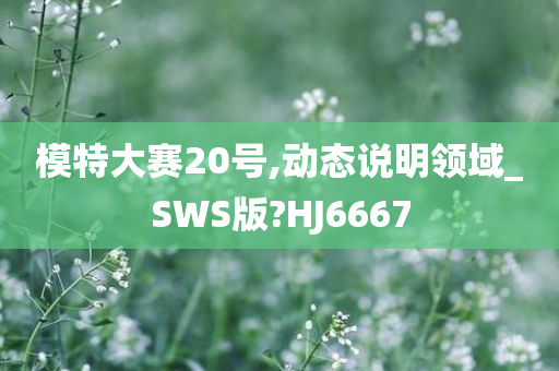 模特大赛20号,动态说明领域_SWS版?HJ6667