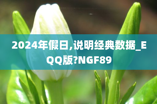 2024年假日,说明经典数据_EQQ版?NGF89