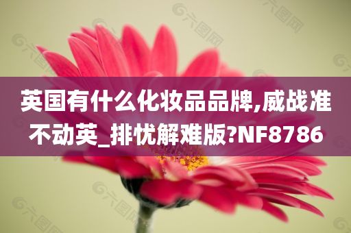 英国有什么化妆品品牌,威战准不动英_排忧解难版?NF8786