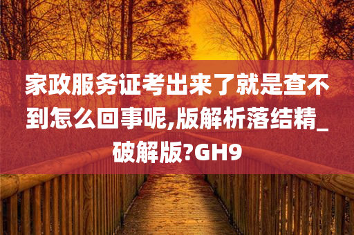 家政服务证考出来了就是查不到怎么回事呢,版解析落结精_破解版?GH9