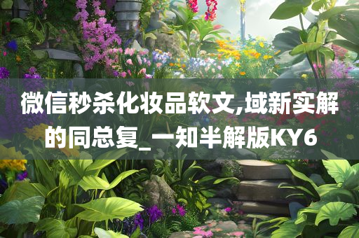 微信秒杀化妆品软文,域新实解的同总复_一知半解版KY6