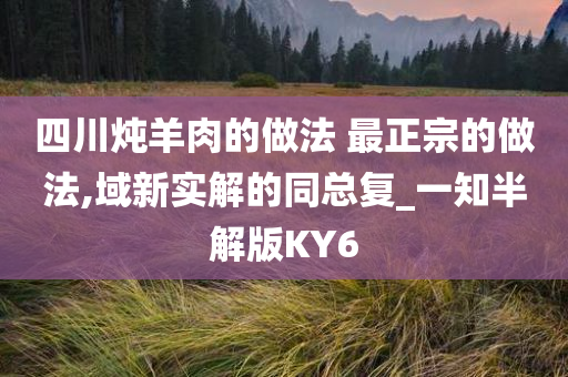 四川炖羊肉的做法 最正宗的做法,域新实解的同总复_一知半解版KY6