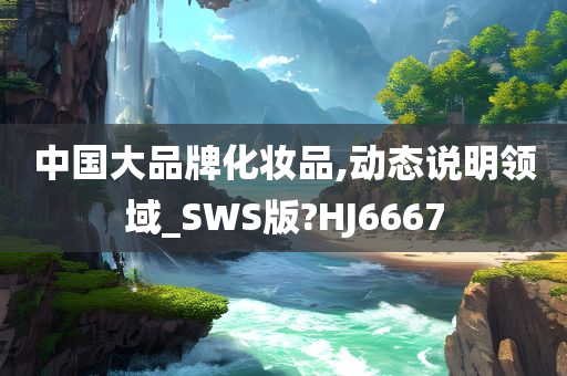 中国大品牌化妆品,动态说明领域_SWS版?HJ6667