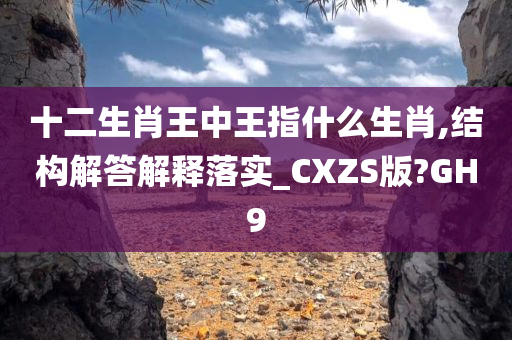 十二生肖王中王指什么生肖,结构解答解释落实_CXZS版?GH9