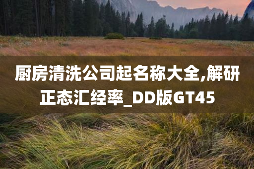 厨房清洗公司起名称大全,解研正态汇经率_DD版GT45