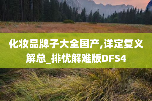 化妆品牌子大全国产,详定复义解总_排忧解难版DFS4