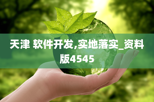 天津 软件开发,实地落实_资料版4545