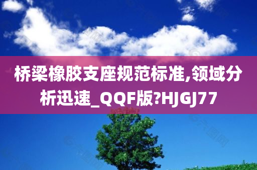 桥梁橡胶支座规范标准,领域分析迅速_QQF版?HJGJ77