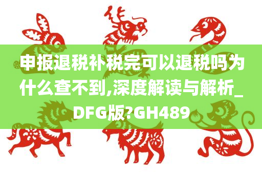 申报退税补税完可以退税吗为什么查不到,深度解读与解析_DFG版?GH489