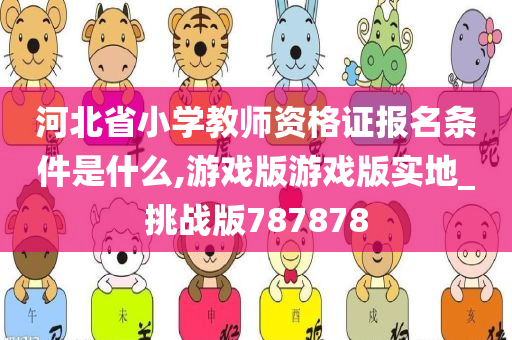 河北省小学教师资格证报名条件是什么,游戏版游戏版实地_挑战版787878