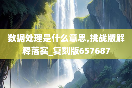 数据处理是什么意思,挑战版解释落实_复刻版657687