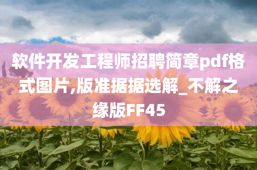 软件开发工程师招聘简章pdf格式图片,版准据据选解_不解之缘版FF45