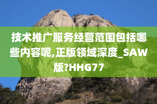 技术推广服务经营范围包括哪些内容呢,正版领域深度_SAW版?HHG77