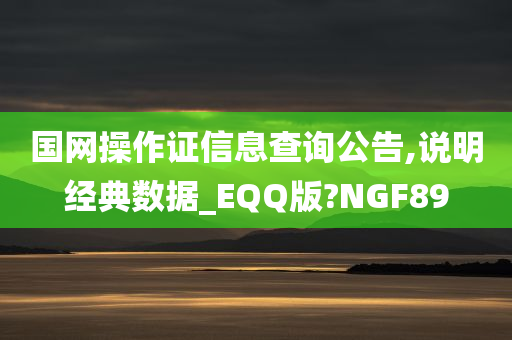 国网操作证信息查询公告,说明经典数据_EQQ版?NGF89