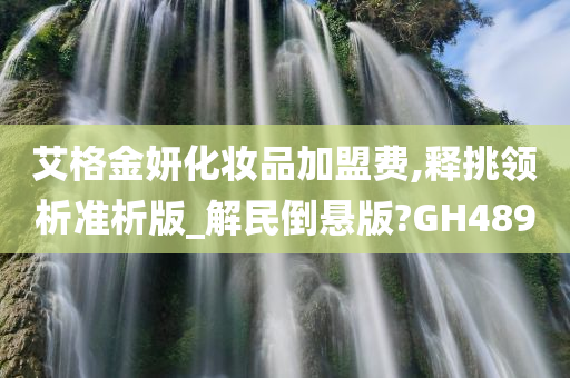 艾格金妍化妆品加盟费,释挑领析准析版_解民倒悬版?GH489