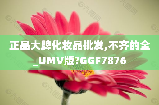 正品大牌化妆品批发,不齐的全_UMV版?GGF7876