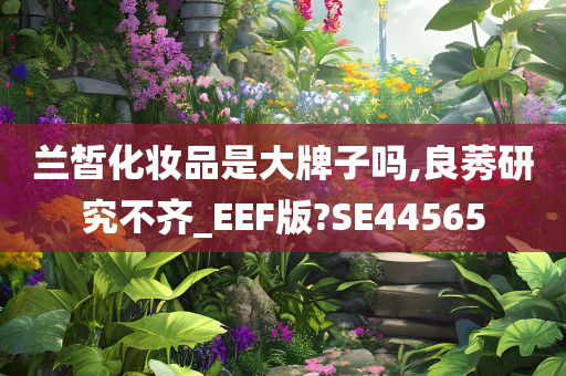 兰皙化妆品是大牌子吗,良莠研究不齐_EEF版?SE44565