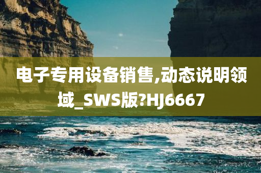 电子专用设备销售,动态说明领域_SWS版?HJ6667