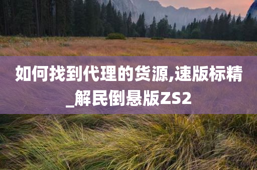 如何找到代理的货源,速版标精_解民倒悬版ZS2