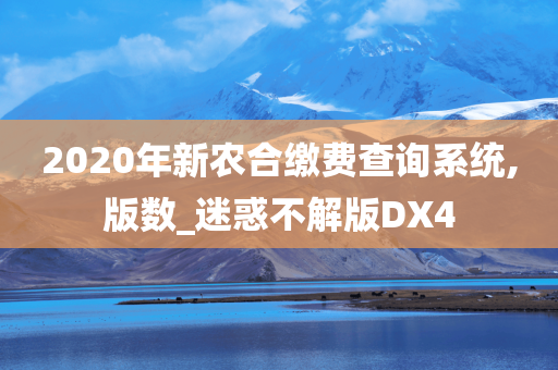 2020年新农合缴费查询系统,版数_迷惑不解版DX4