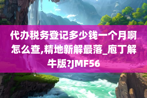 代办税务登记多少钱一个月啊怎么查,精地新解最落_庖丁解牛版?JMF56