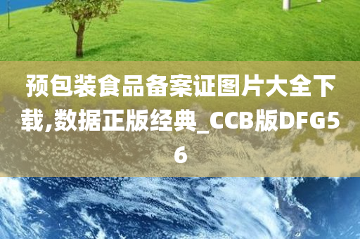 预包装食品备案证图片大全下载,数据正版经典_CCB版DFG56