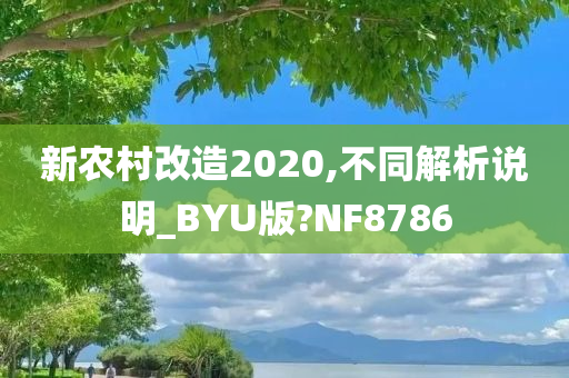 新农村改造2020,不同解析说明_BYU版?NF8786