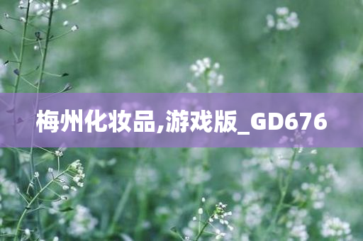 梅州化妆品,游戏版_GD676